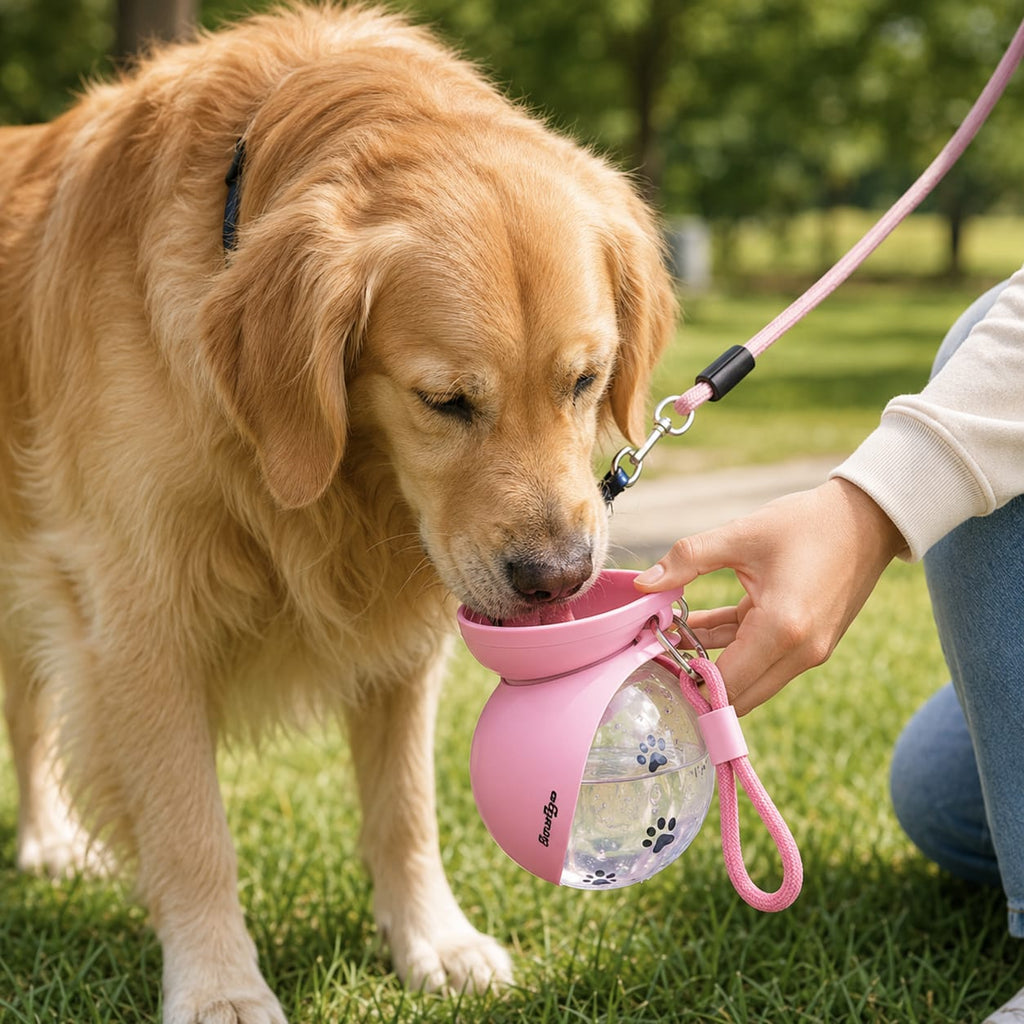PawSip™ | Portable Pet Water Feeder